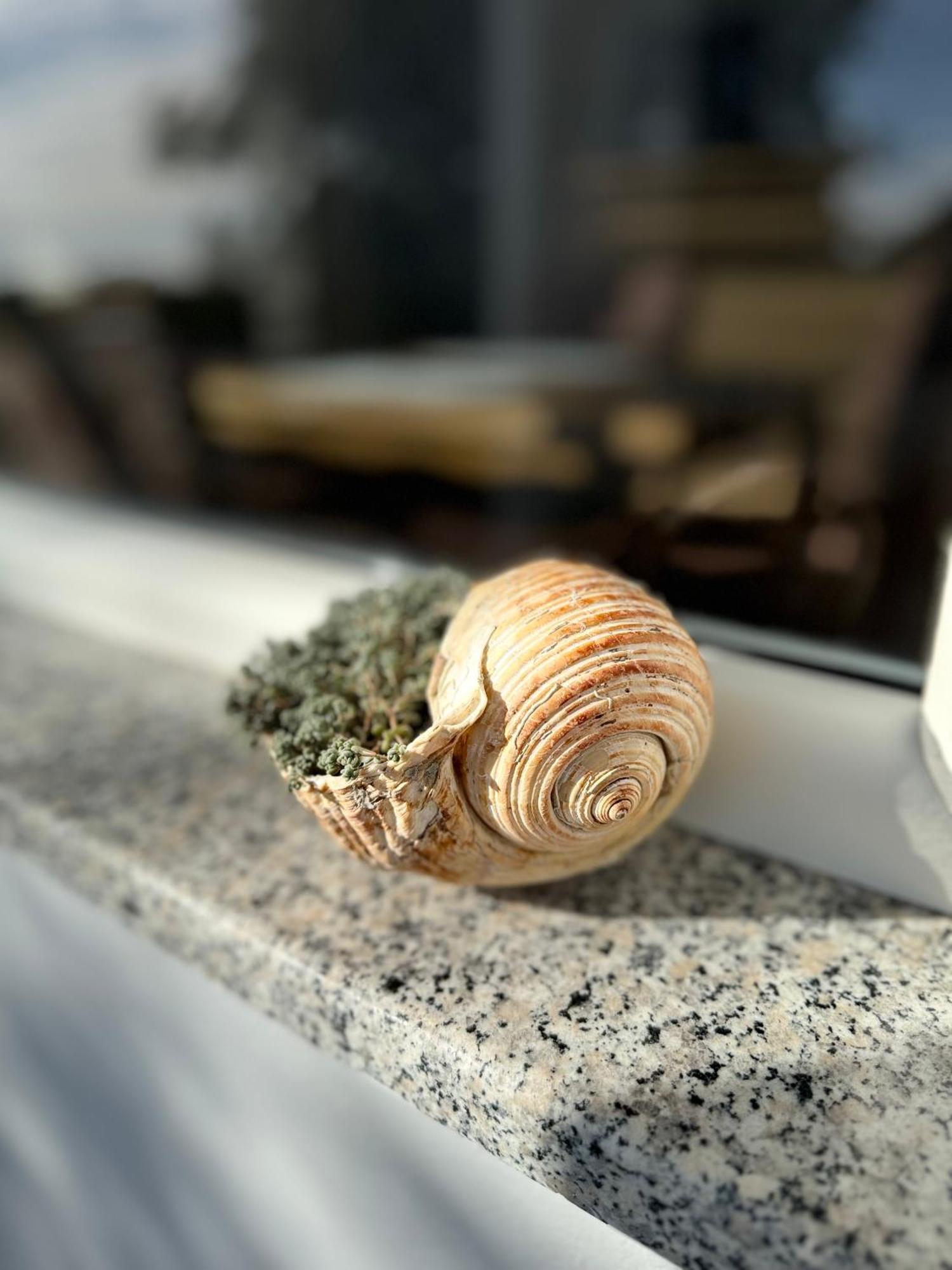 Vila Horizont Baks-Rrjoll Bagian luar foto